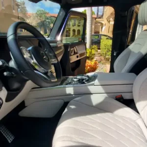 Platinum Interior Only